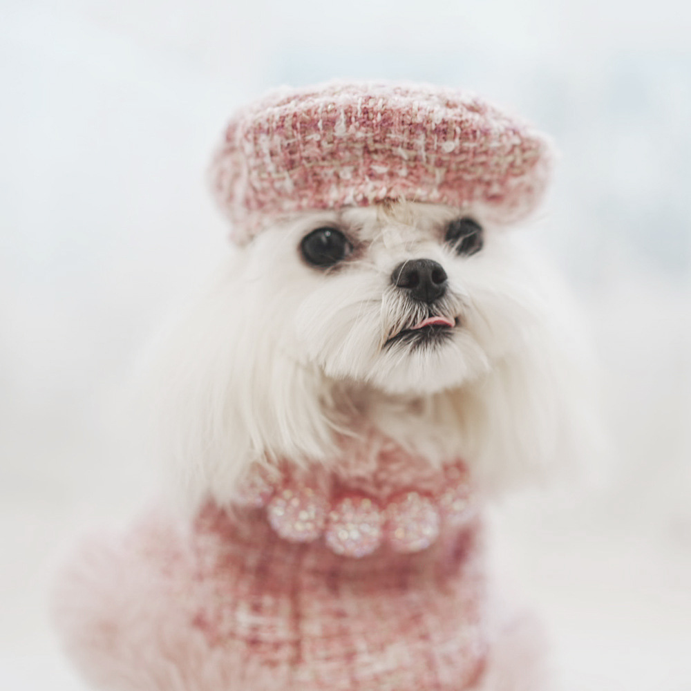 Small dog pink cloak chic designer puppy clothes winter warm dog clothes with leash hat