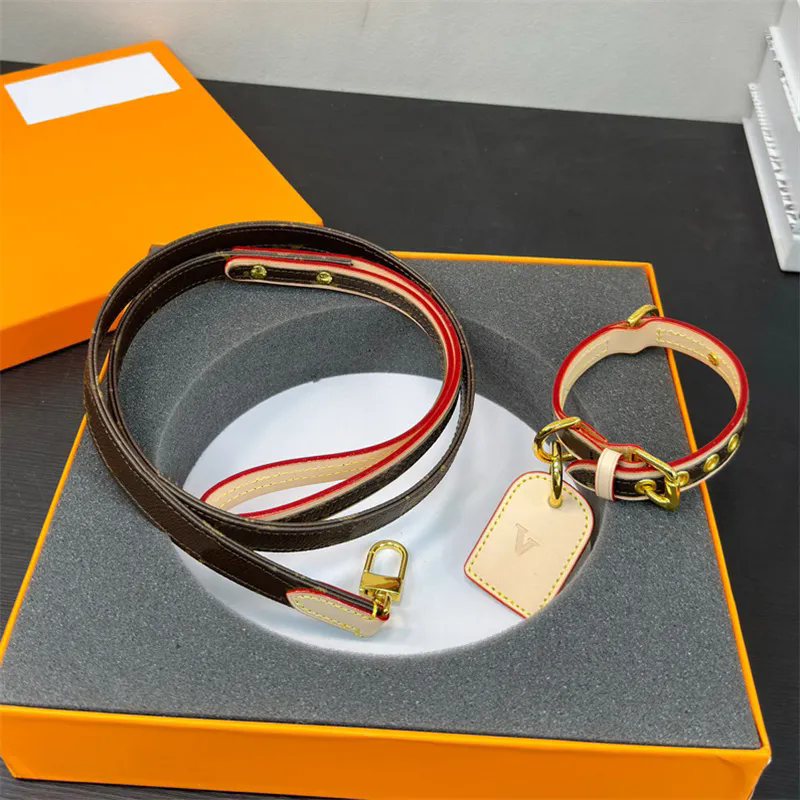 Designer Dog Collar Luxury Pet Traction Rope Fashionable Collars Brand Necklace Animal Necklet Pets Leash Dogs Choker With Box