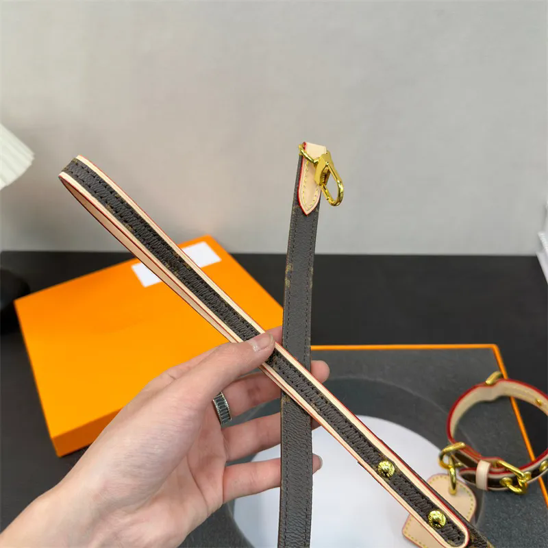 Designer Dog Collar Luxury Pet Traction Rope Fashionable Collars Brand Necklace Animal Necklet Pets Leash Dogs Choker With Box