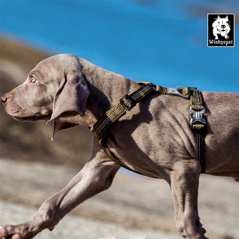 Winhyepet Dog Harness Pet Cloth Reflective Traveling Chest Straps Light Comfort Padding Back-clip For Puppy Medium Large Dogs