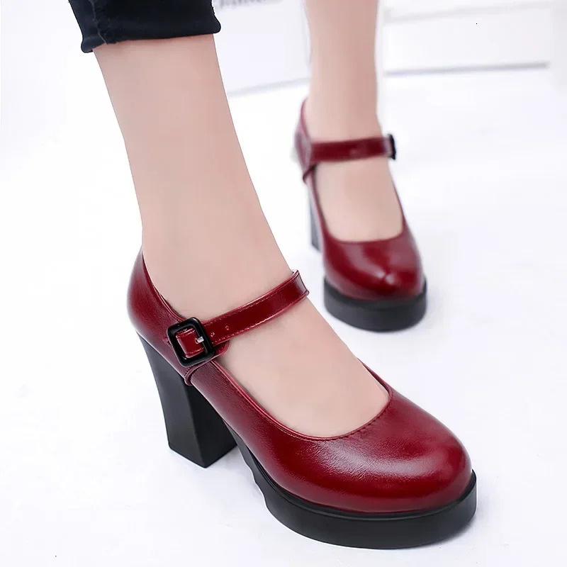 Shoes Mary Janes Womens High Fashion Buckle Strap New Dress Pumps Round Toe Heels Women 241014