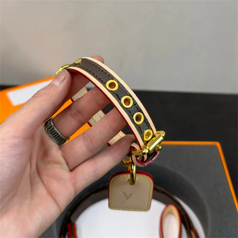 Designer Dog Collar Luxury Pet Traction Rope Fashionable Collars Brand Necklace Animal Necklet Pets Leash Dogs Choker With Box