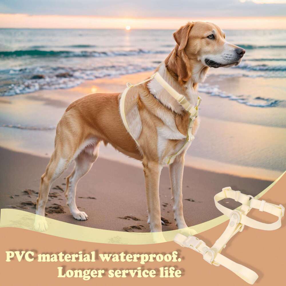 Muker Mascota New 2024 Manufacturer Custom Waterproof Pvc Harness Pet Dog Collar And Leash Set