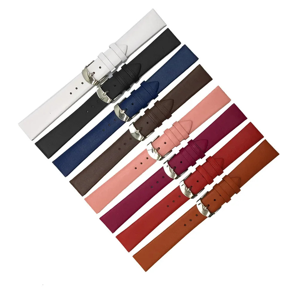 Calf Leather Watch Strap 12mm 14mm 16mm 18mm 20mm 22mm Genuine Band with Silver Pin Buckle 241010