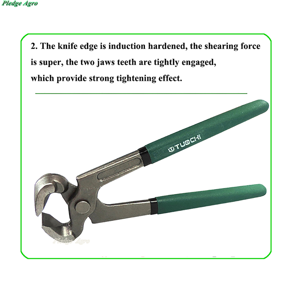 Hoof trimmer Pliers Cattle Sheep Clamp Repair Trimming Trimmers Snip Nail livestock Tool Veterinary Forceps Cutter Nippers