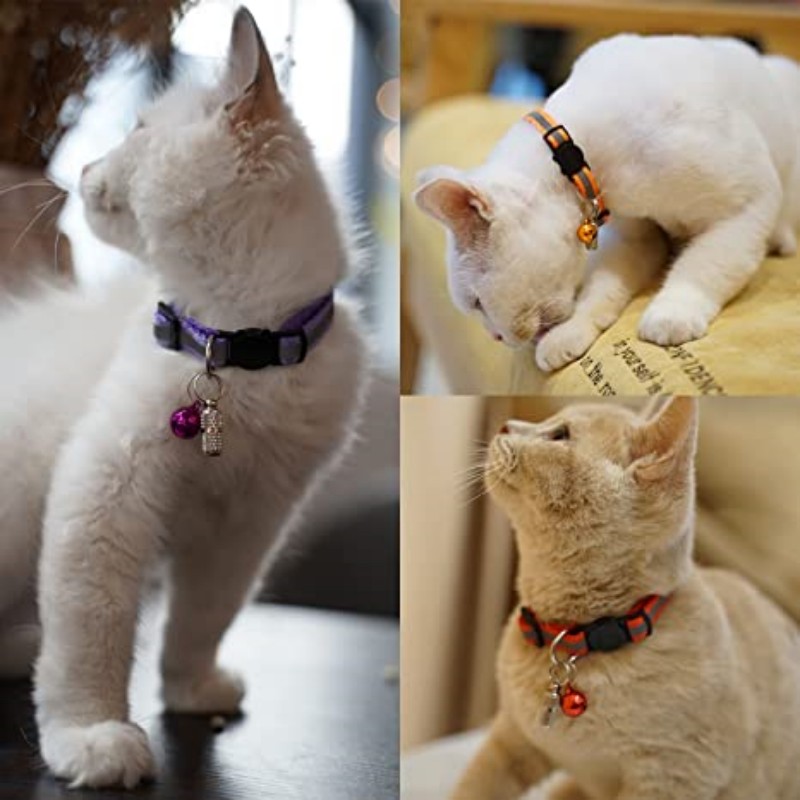 Personalized Pet Cat Dog Anti-Lost ID Tag with Name Adress Hanging Pendant Plate Kitten Puppy for Collar Decoration Accessoires