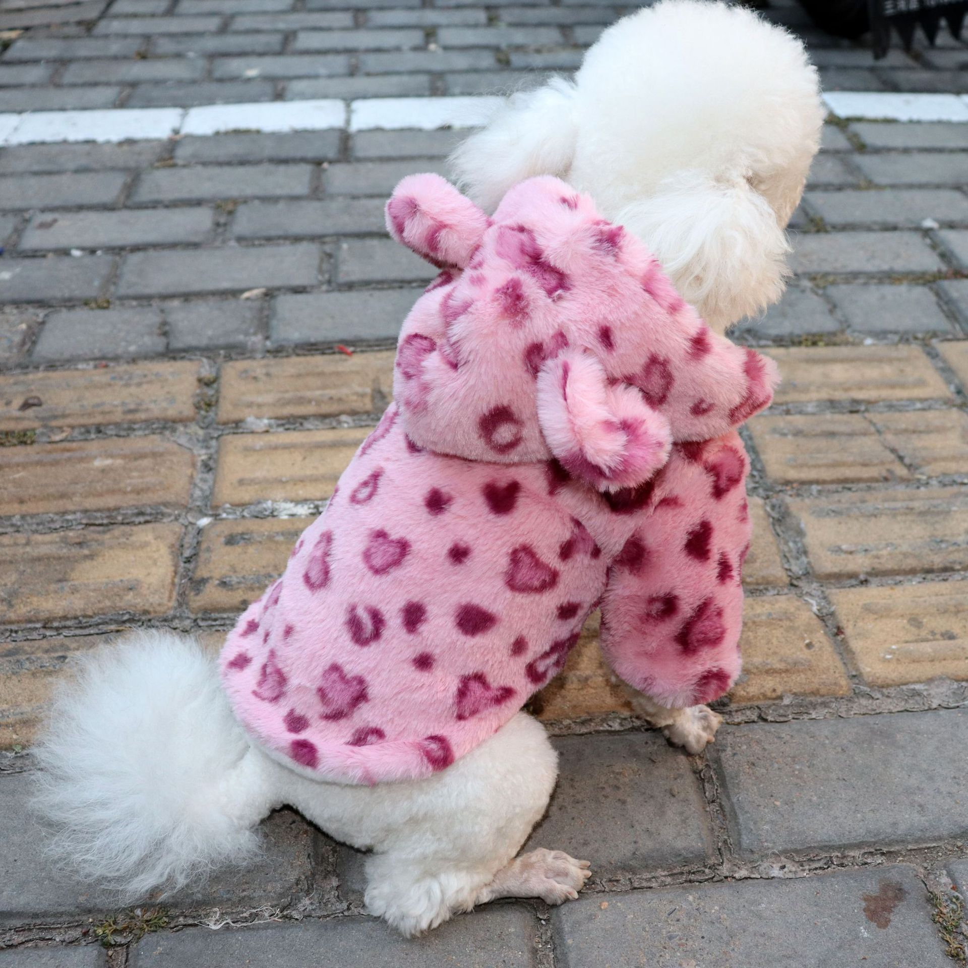 Apparel Winter Pet Clothes Warm Fleece Hoodie Leopard Dog Coat Jacket French Bulldog Clothing for Small Dogs Pets Costumes
