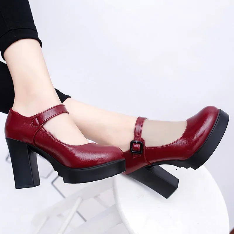 Shoes Mary Janes Womens High Fashion Buckle Strap New Dress Pumps Round Toe Heels Women 241014