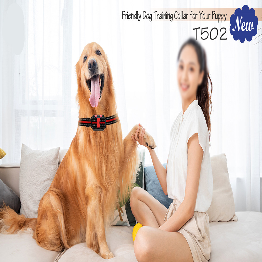 New 800m 2600ft Dog Training Collar T502 Rechargeable 4 Mode Beep Vibration Shock LED Electronic Dog Collar Waterproof