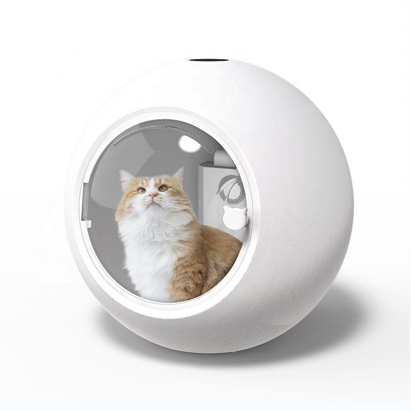 Automatic pet Drying Box for Household pet Water Blowing Machine cat Dryer