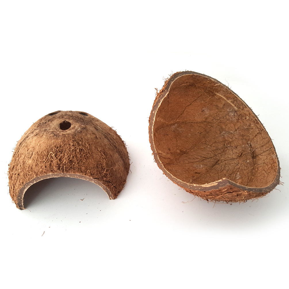 Turtle, Spider, Scorpion, Horned Frog, Reptile, Small Pet, Coconut Shell Shelter, Hiding Cave Nest