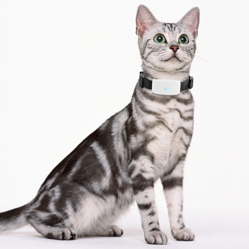 Waterproof cat mini pet tracker gps world smallest dog collar tracking pet long battery life coin size TK911 tkstar cat gps