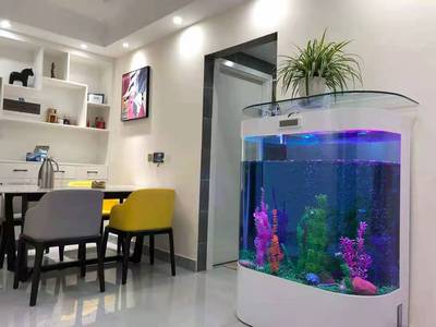 Factory supply custom large acrylic aquariums fish tanks