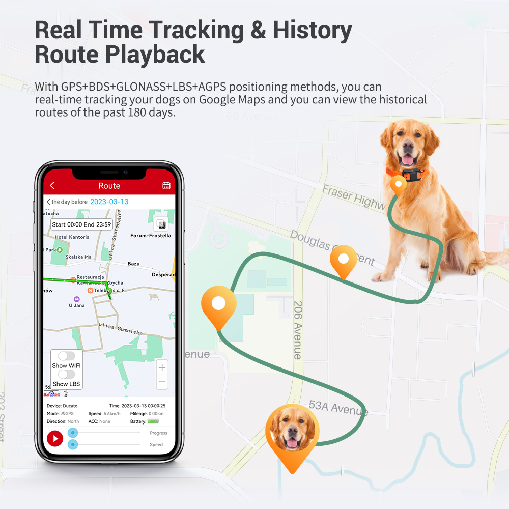 Fast Shipping Micodus MP50G IPX7 4000mah Long Range Dog GPS Tracking Smart Collars Dog Activity Monitoring 4G Pet Gps Tracker