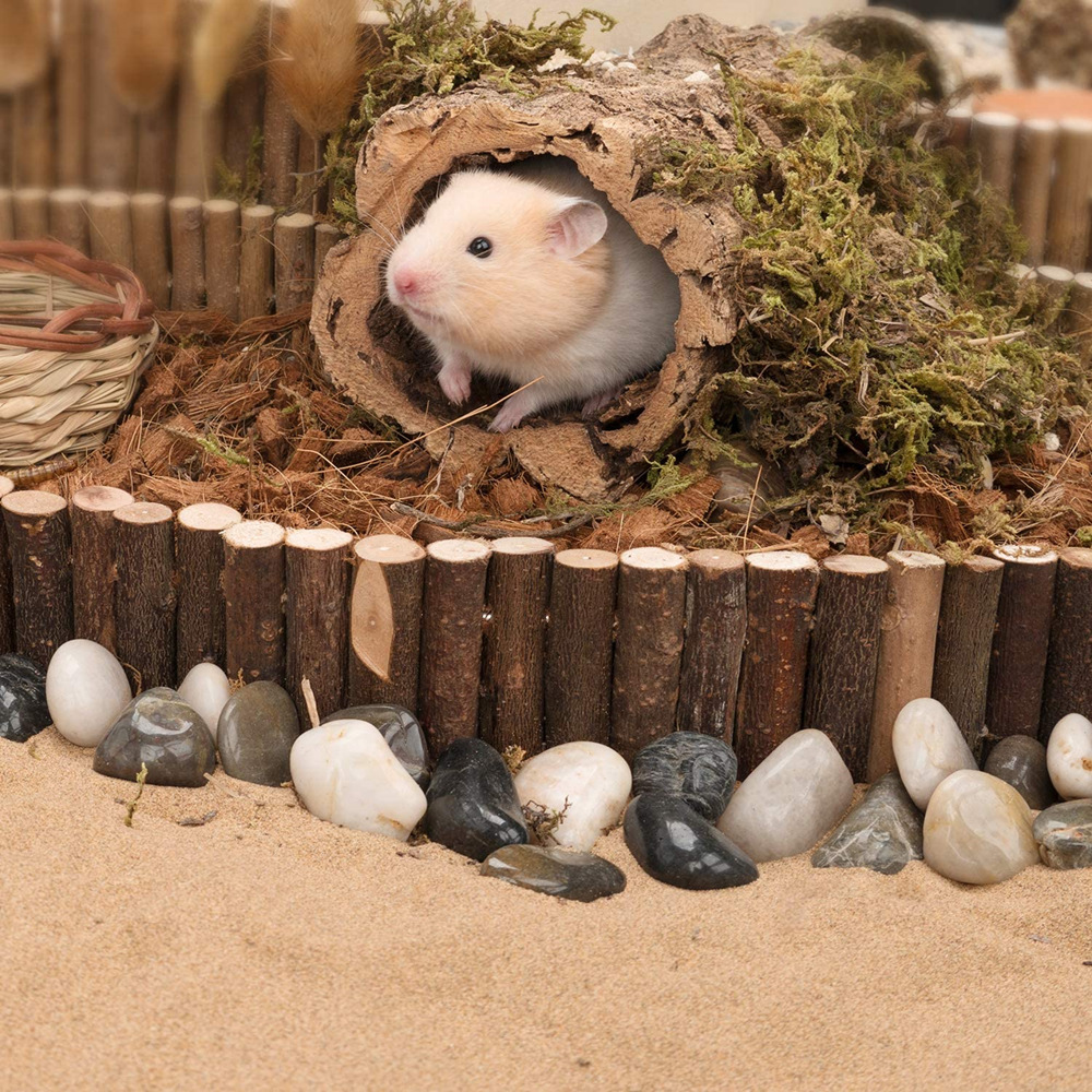 Small Pet Training Wooden Toys Hamster Wooden Ladder Fence 2 in 1 Bird Ladder Chinchilla Natural Landscaping Supplies