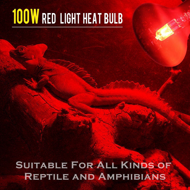 100W 4Pack Infrared Heat Lamp Bulb Red Light Heat Bulbs For Pet Lizards Bearded Dragons Chameleons Snakes Reptiles 220V
