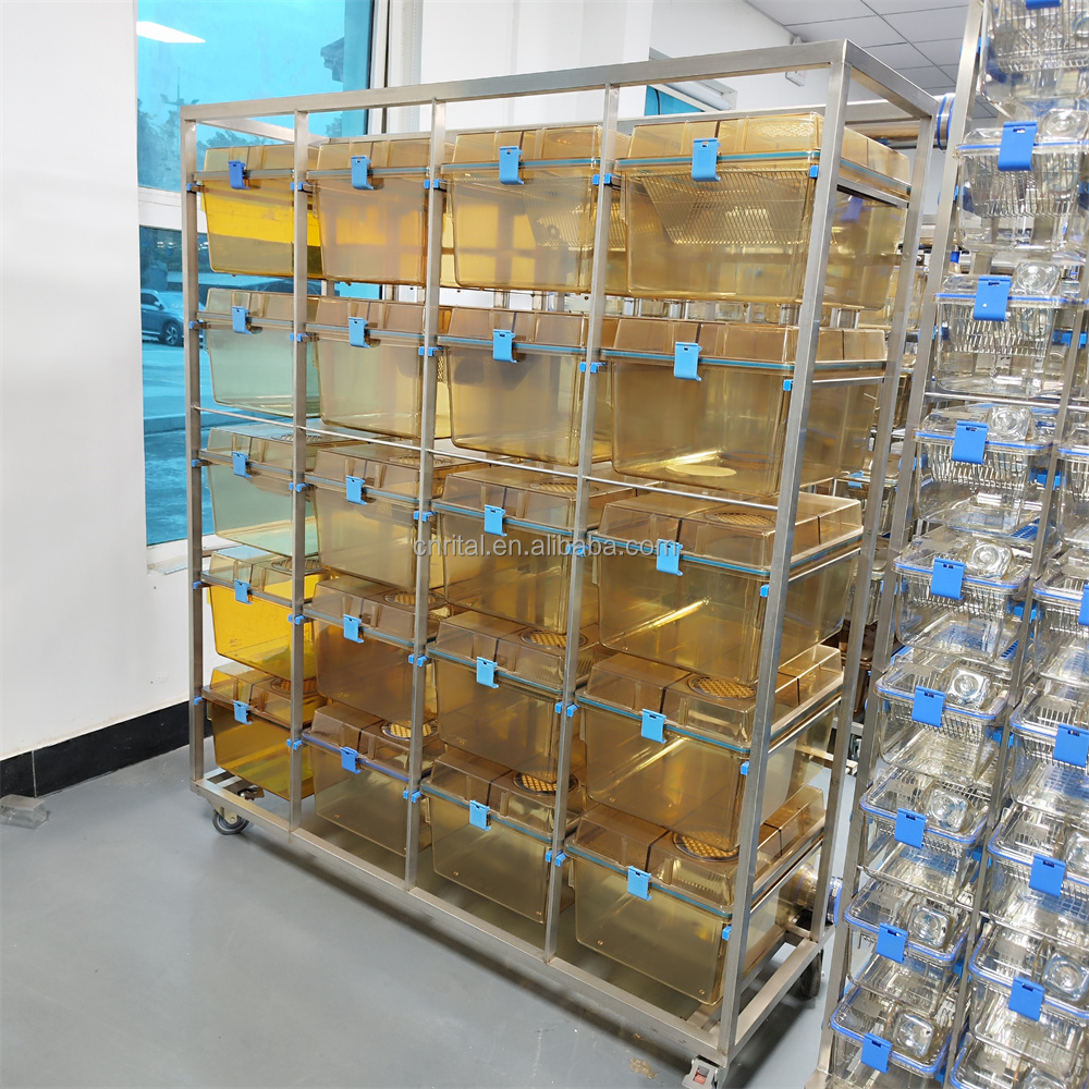 individual ventilated cage pet Plastic equipment for rabbit cat monkey rat mouse Laboratory Animal cage IVC