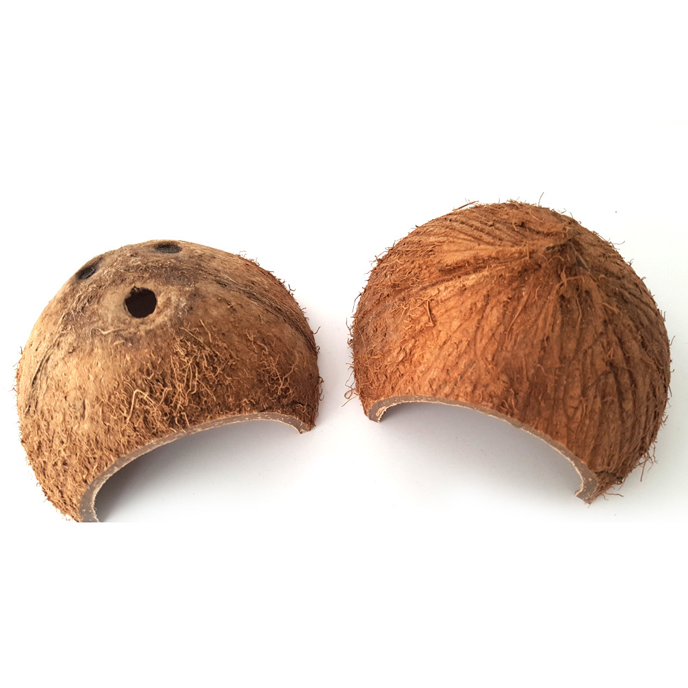 Turtle, Spider, Scorpion, Horned Frog, Reptile, Small Pet, Coconut Shell Shelter, Hiding Cave Nest