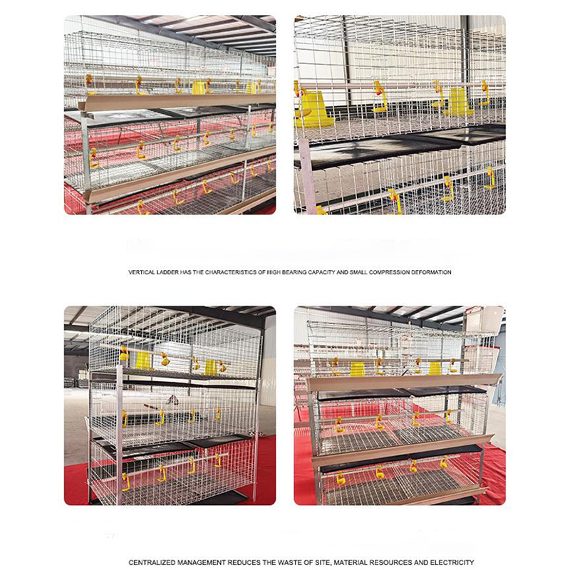 H Type Layer Chicken Cage Steel Stepped Cages For Chicken Used