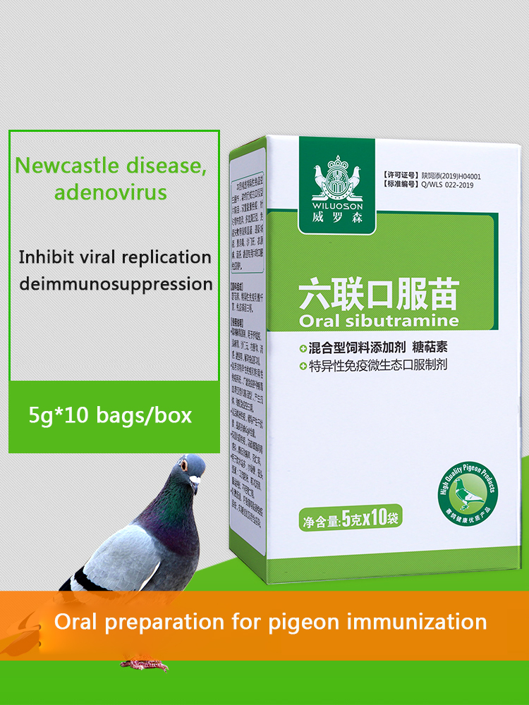 Pigeon six vaccine oral 5g*10 bags pigeon with young pigeon crooked neck turn head cough eye face swelling prevention of drinkin