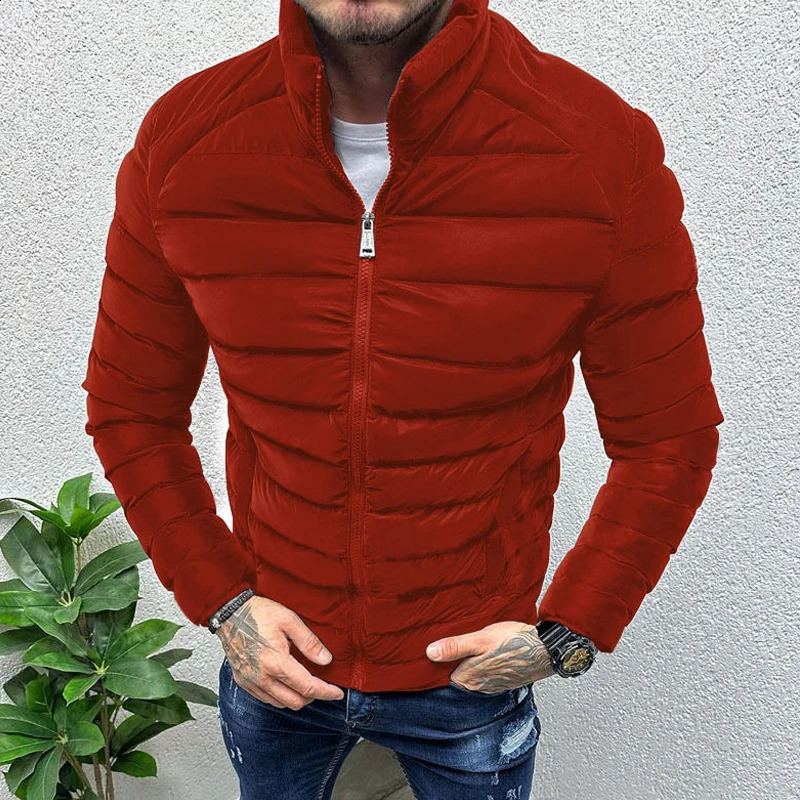 Fall Winter Warm Down Jacket For Men Casual Pure Color Slim Long Sleeve Slim Fit Cotton Padded Coat Mens Leisure Zipper Jackets 241015