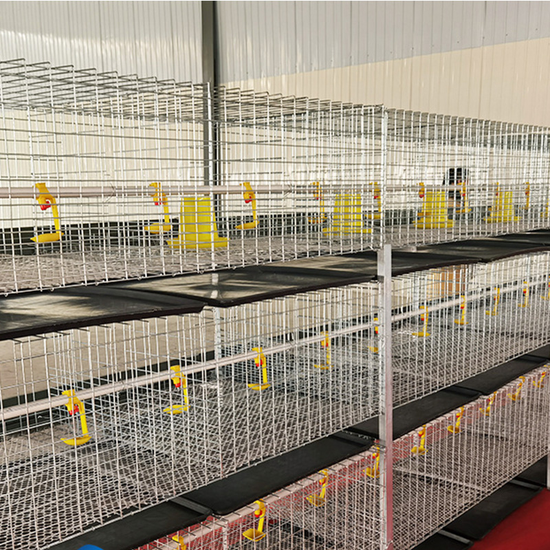 H Type Layer Chicken Cage Steel Stepped Cages For Chicken Used