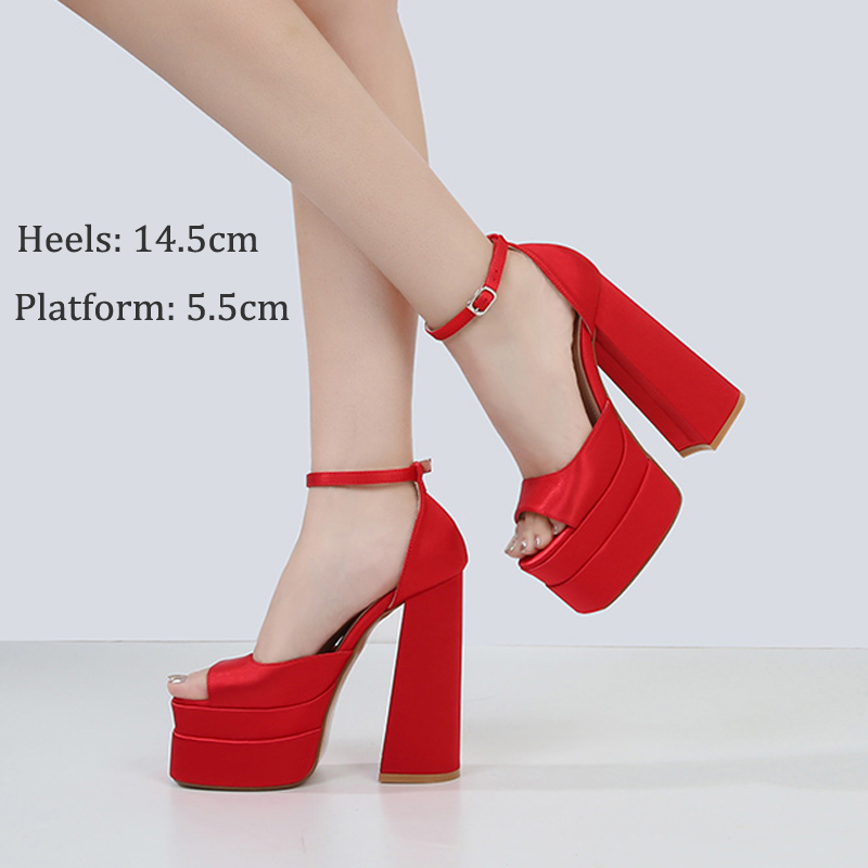 Elegant Women Shoes Platform High Heeled Sandal Woman INS Buckle Fashion Trendy Women's Design Shoes 2024