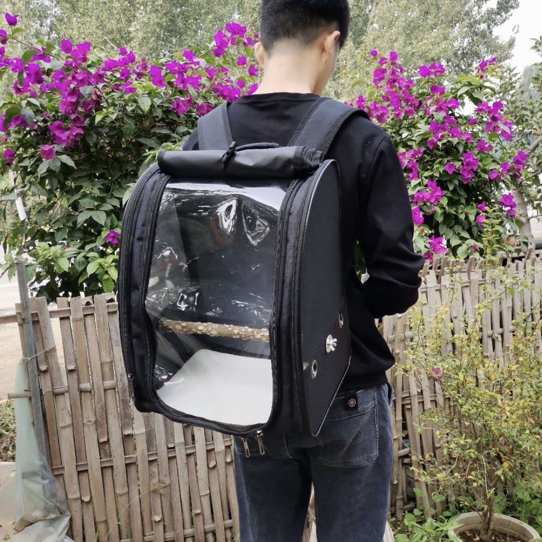 Small and medium-sized pet parrots go out with backpacks, transparent bird cages, large portable transport boxes