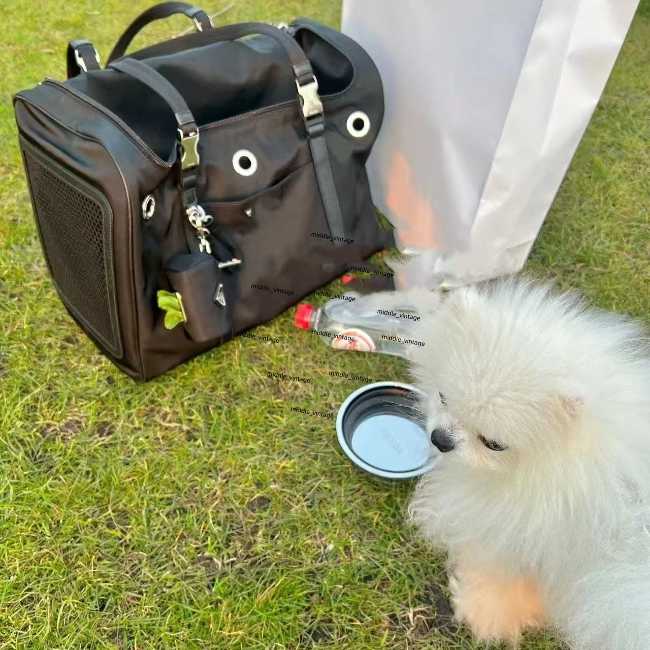 Stylish Trendy Brand Canine & Fee Backpack - Comfortable Pet Outing Bag with High-Quality Materials