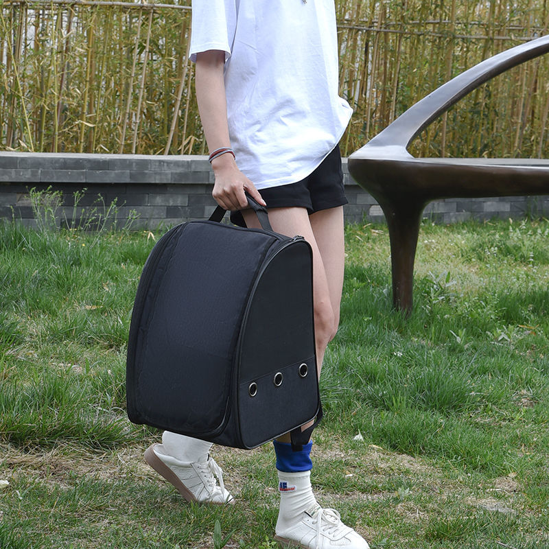 Small and medium-sized pet parrots go out with backpacks, transparent bird cages, large portable transport boxes