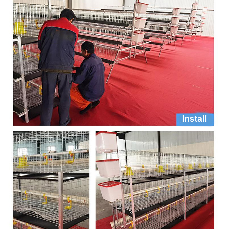 H Type Layer Chicken Cage Steel Stepped Cages For Chicken Used