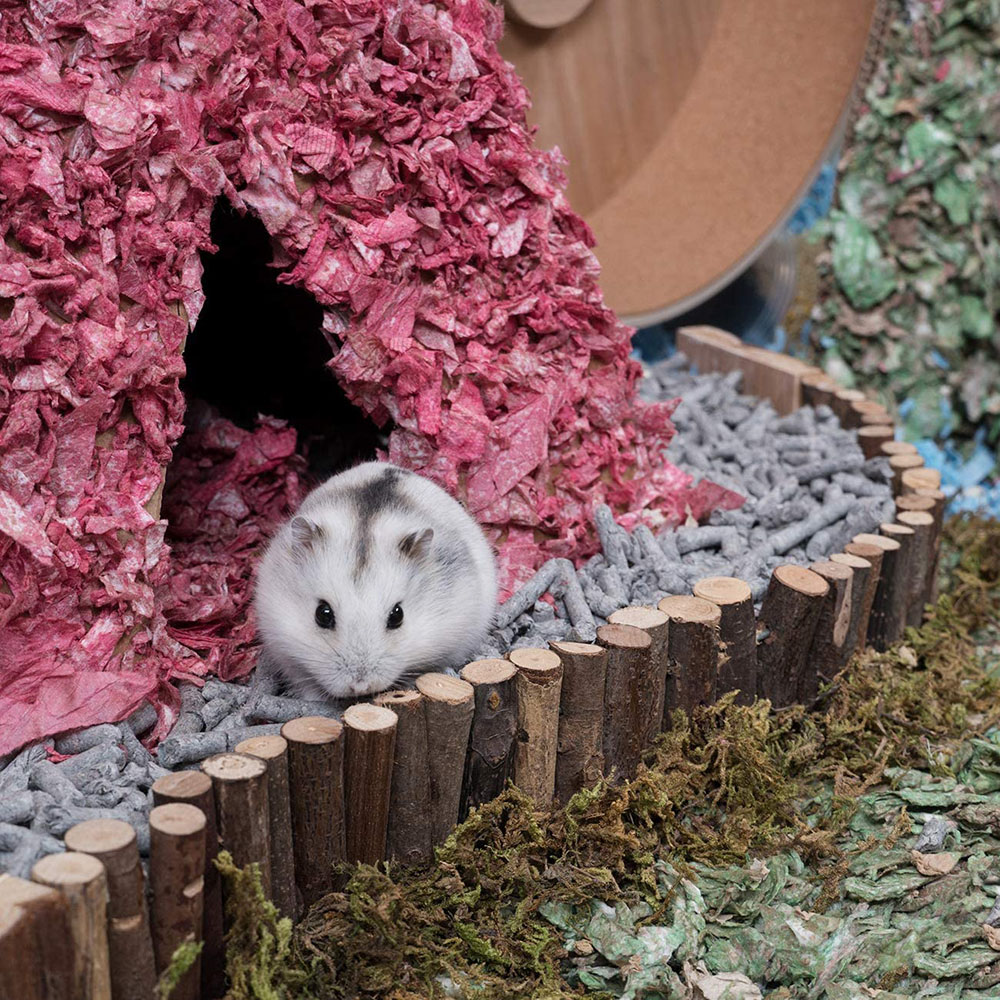 Small Pet Training Wooden Toys Hamster Wooden Ladder Fence 2 in 1 Bird Ladder Chinchilla Natural Landscaping Supplies