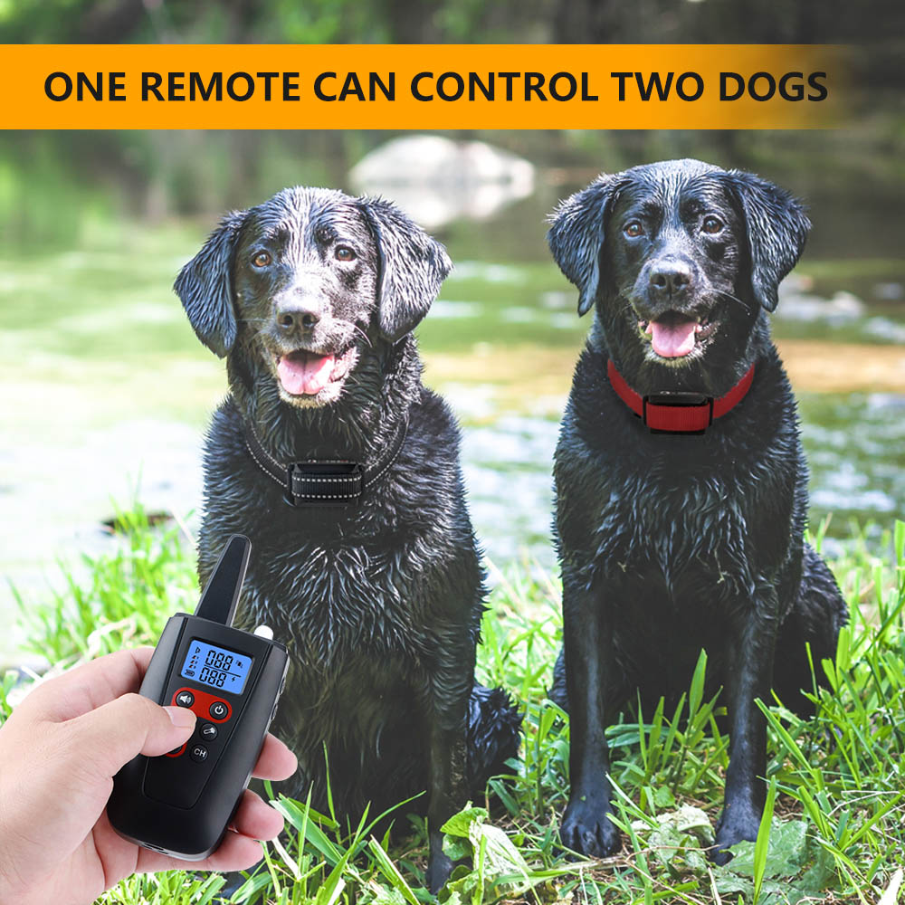 Dog Training Equipment Rechargeable Shock Collar For Medium Large Dogs 1000Ft Remote Range 3 Training Modes Without Shock