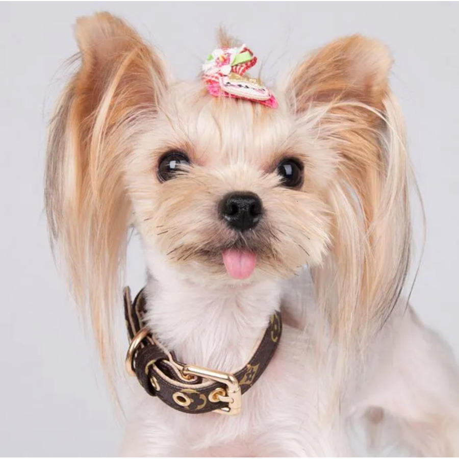 styles Adjustable PU Leather Pet Collars Fashion Letters Print Old Flowers Leashes for Cat Dog Necklace Durable Neck Decoration Accessory Pets Supplie