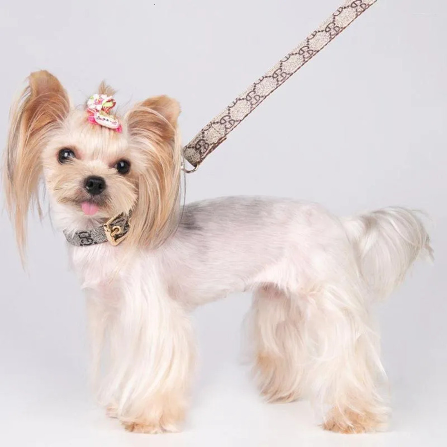 Dog Collars Designer Leashes Adjustable PU Leather Pet Fashion Letters Print Old Wers For Cat Necklace Durable Neck Decoration Accessory