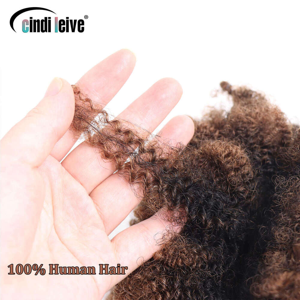 Ombre Brown Afro Kinky Curly Bulk Human #30-#1-#30 Crochet Braiding Hair Extensions Loc For Braids No Weft