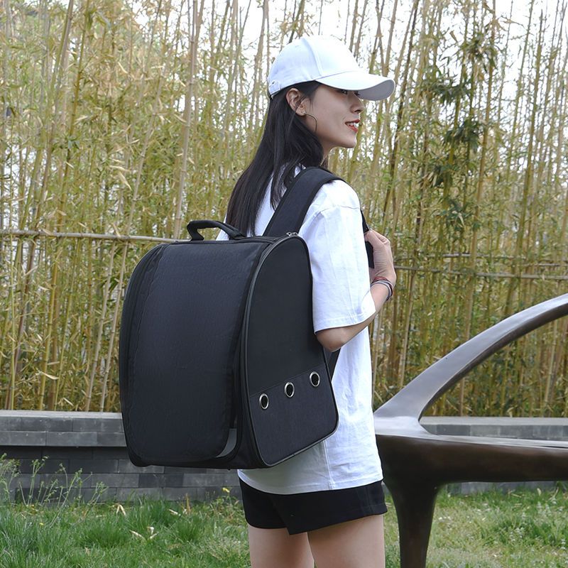 Small and medium-sized pet parrots go out with backpacks, transparent bird cages, large portable transport boxes