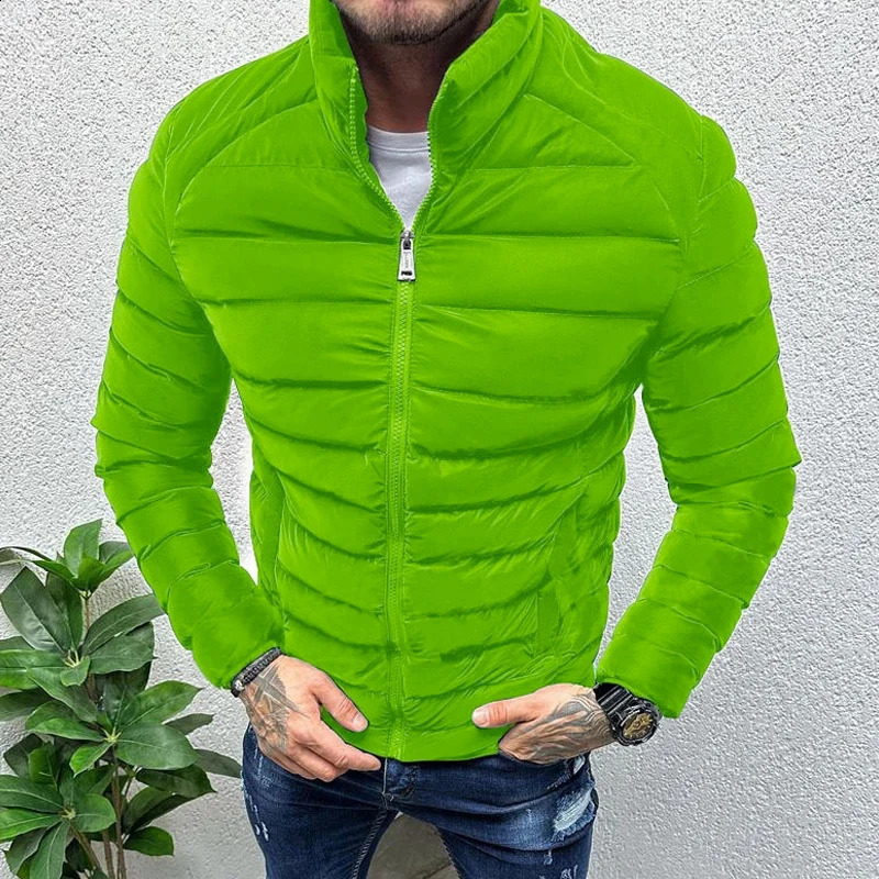 Fall Winter Warm Down Jacket For Men Casual Pure Color Slim Long Sleeve Slim Fit Cotton Padded Coat Mens Leisure Zipper Jackets 241015