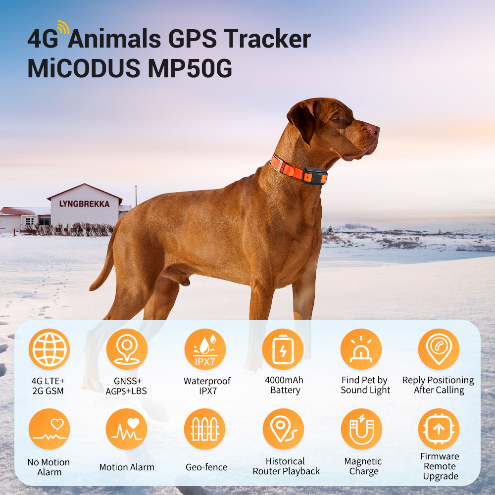 Android ios Micodus MP50G 4000mAh Waterproof 4G Animal Hound GPS Tracking Device With Collar Hunting Dog GPS Tracker