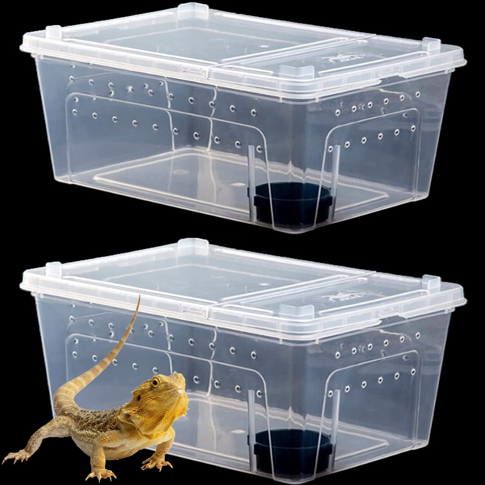 Reptile Breeding Box Reptile Terrarium Transparent Transparent Animal Habitat Cage for Snake Gecko Silkworm Reptile