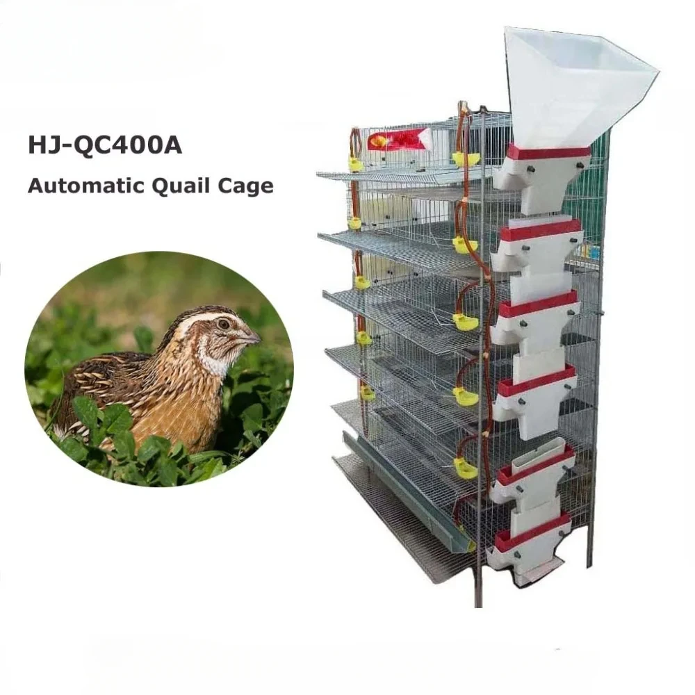 Vertical Quail Cage 300-400 Quail Capacity Encrypted Galvanised Ladder Type Brooder Cage Automatic Feeding Egg Collector