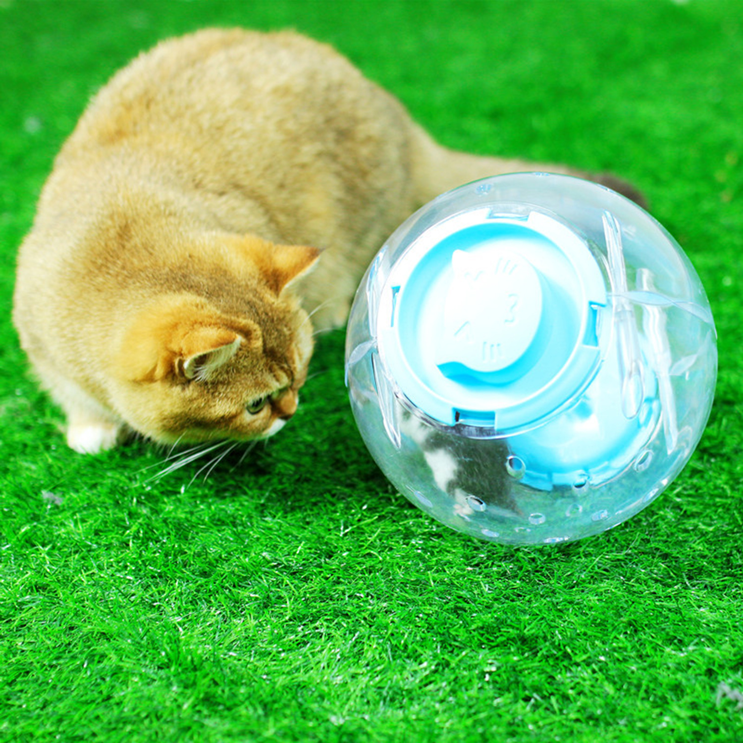 Small Pet Hamster Running Ball with Leash Exercise Toy Household Running Jogging Toy Hamster Spinning 12cm