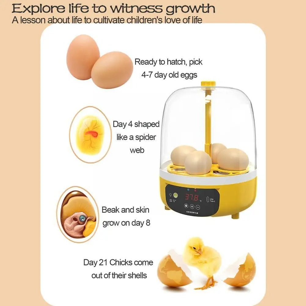 Mini Eggs Incubator Brooder Bird Quail Chick Hatchery Hatcher Farm Tray Automatic Poultry New Tools Incubation Incubator