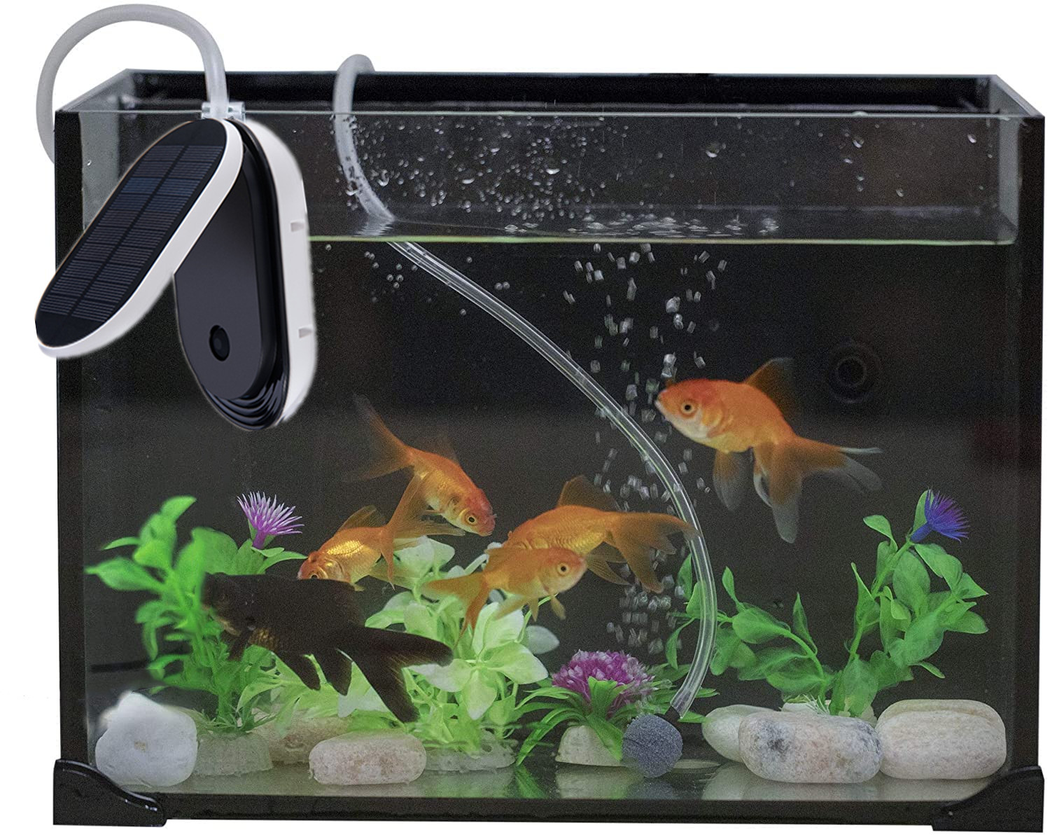 Solar Pond Pump, Air Pump Aerator Fish Tank Oxygenator for Garden Fish Tank Pool Fishing Pond Air Pump Fish Tank Accessories