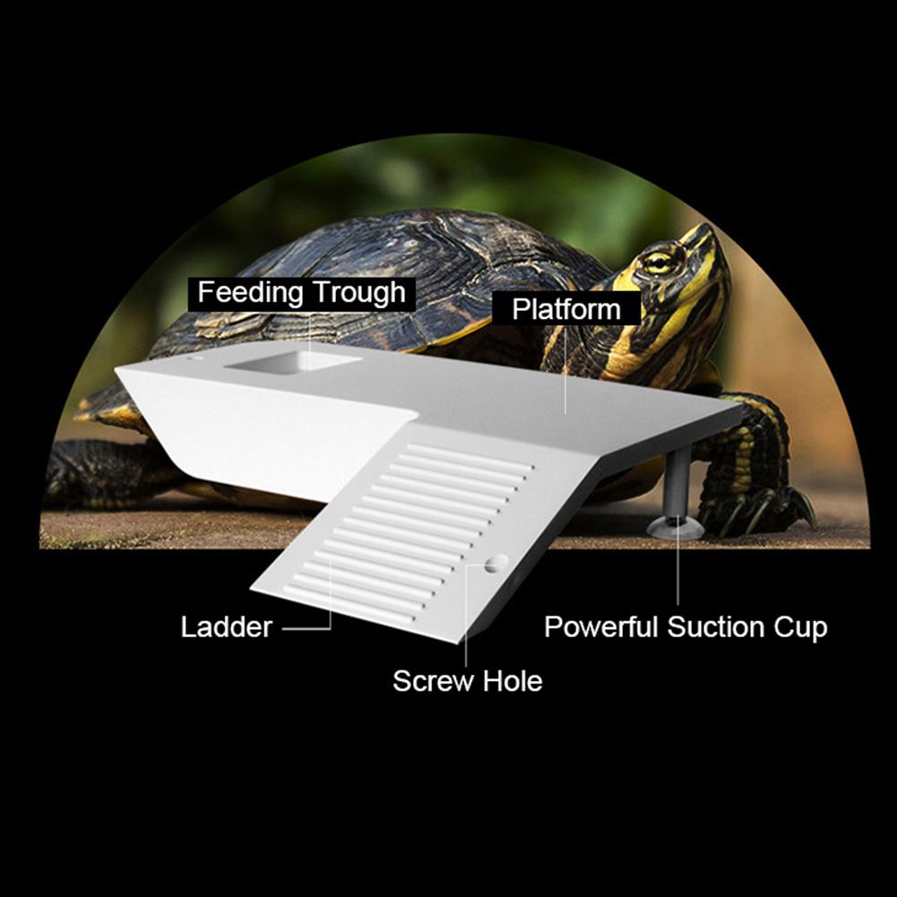 Water and Land Slope Box Feeding Climbing Platform Pet Turtle Frog Hamster Cage Scorpion Lizard Spider Breeding Box Accessories