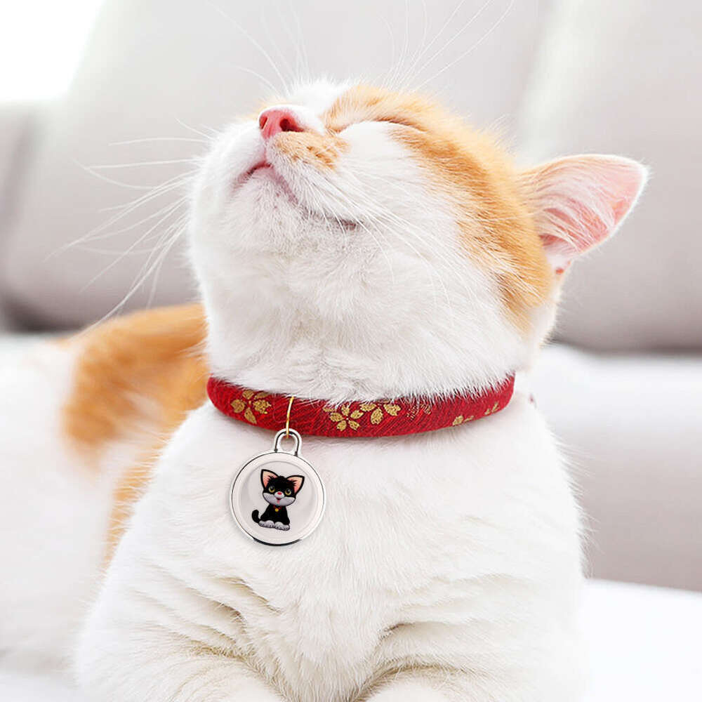 Pet anti loss tracker, dog GPS necklace, real-time global tracking device, Bluetooth compatible GPS, cat mini locator