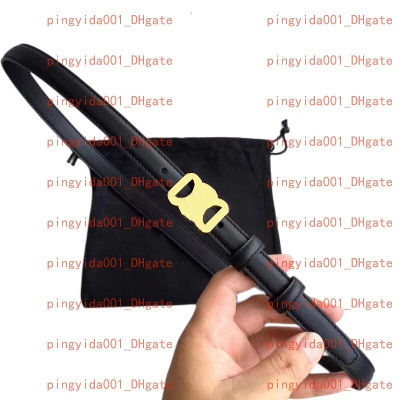 Top Designer Belt Fashion Women Leather Belt Width 2.5/1.8cm Classic Vintage Pin Buckle Casual All-in-one Jeans Accessory Mens And Womens Belts