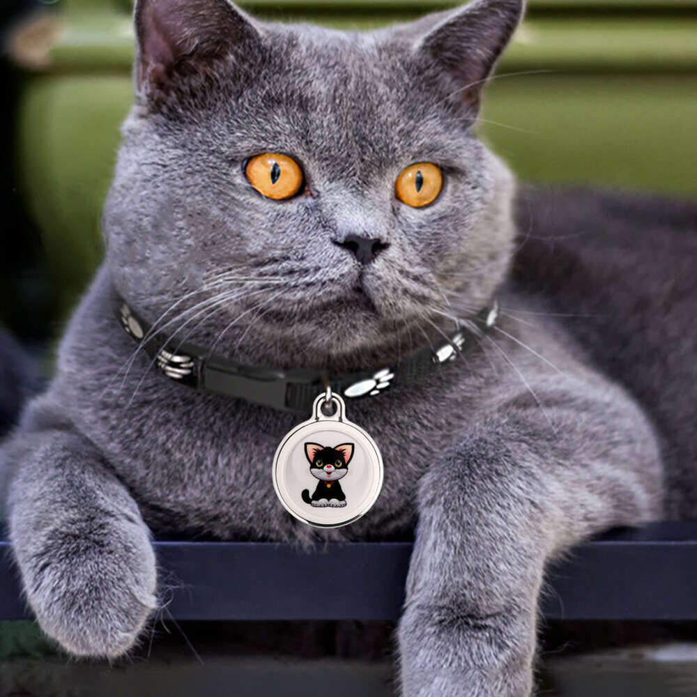 Pet anti loss tracker, dog GPS necklace, real-time global tracking device, Bluetooth compatible GPS, cat mini locator