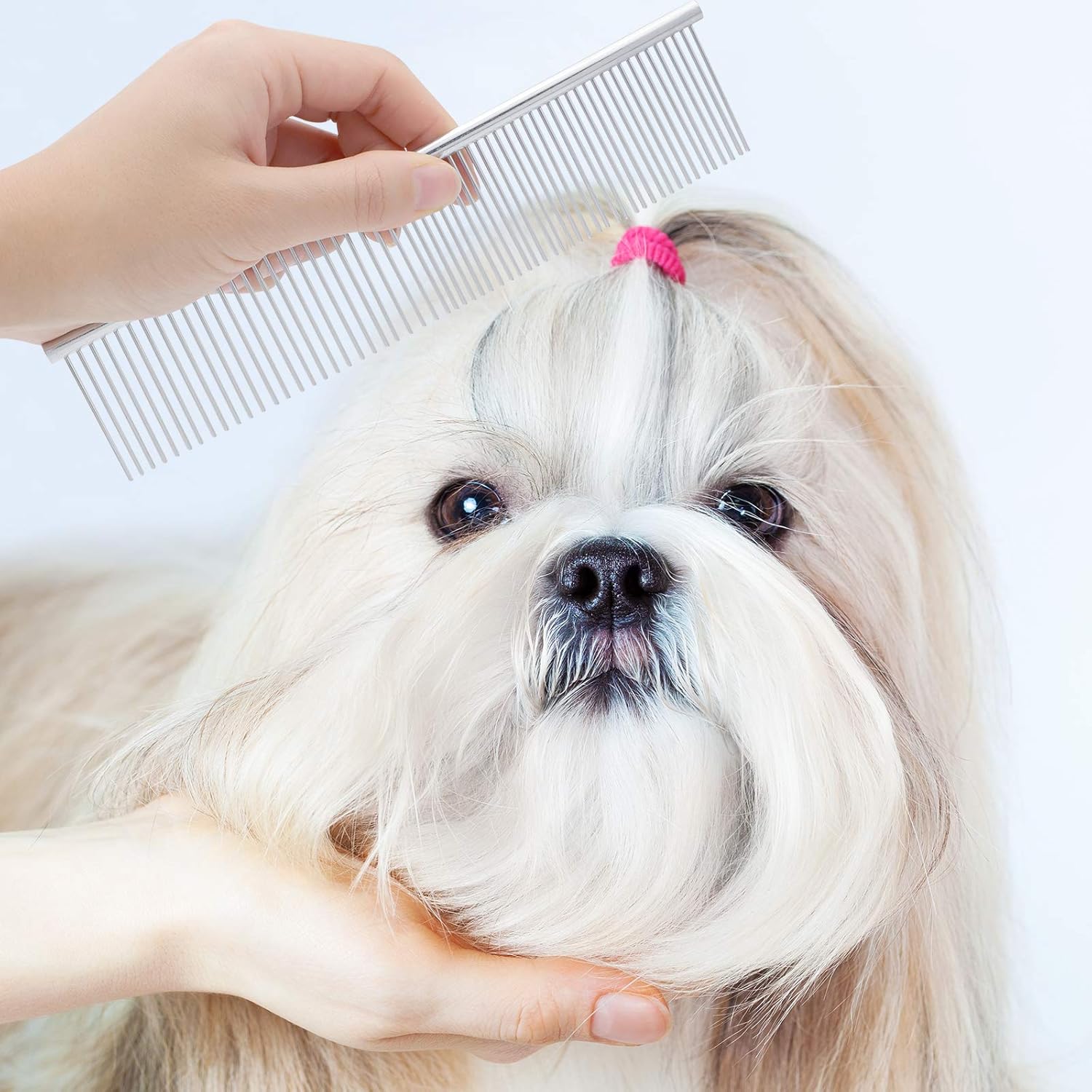 Pets Grooming Comb Kit for Small Dogs Puppies For Tear Stain Remover 2-in-1 with Round Teeth to Remove Knots Crust Mucus Free shipping