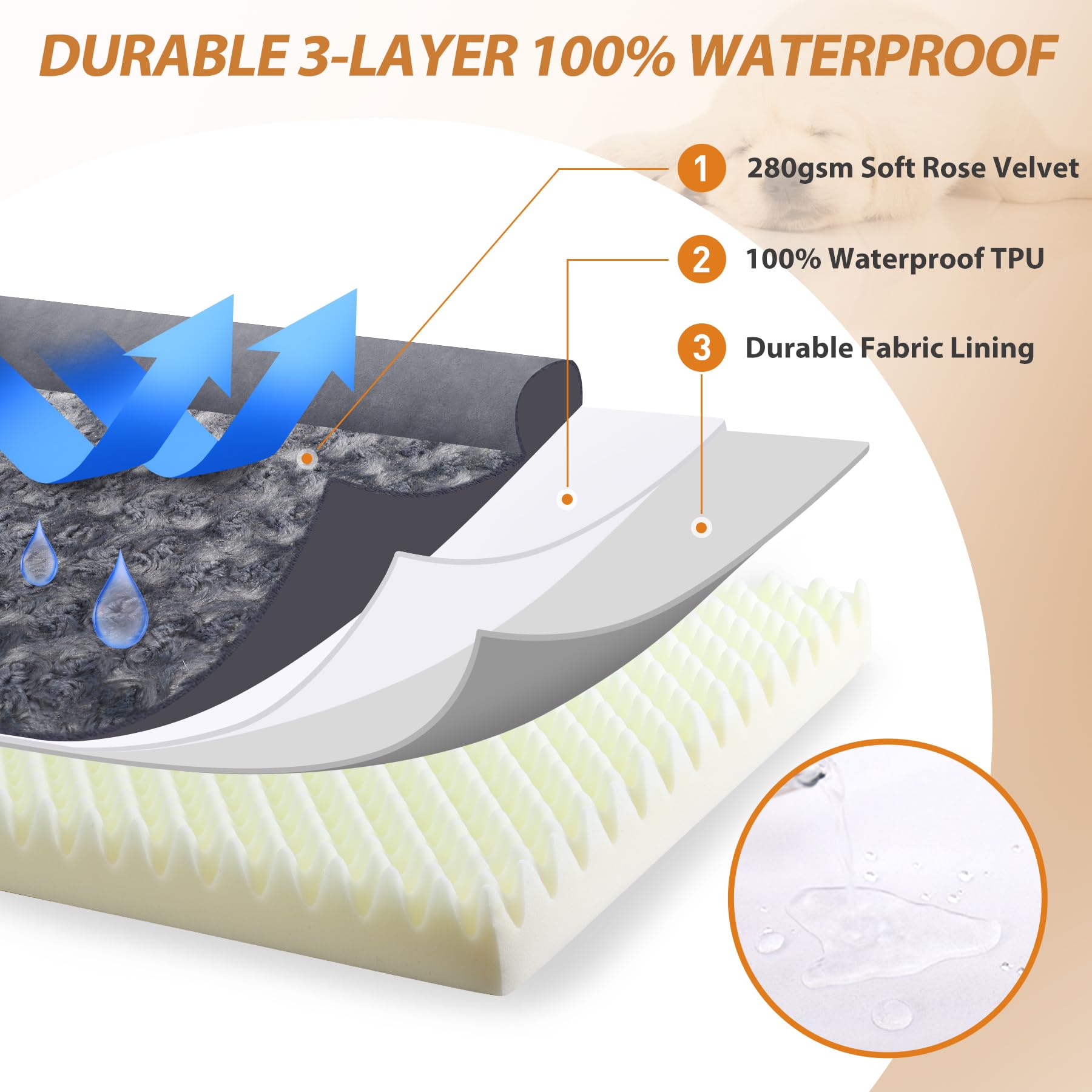 Cross border detachable washable U-shaped pet sofa, rose velvet dog bed sponge, autumn and winter dog mat, medium and large dog warm dog bed